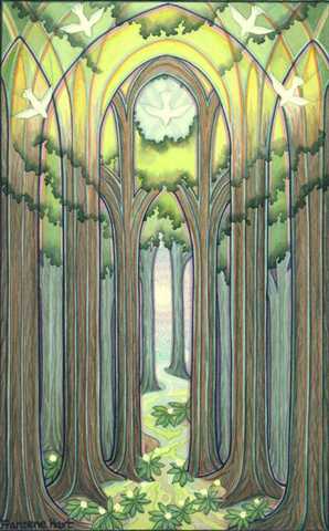 Forest Cathedral